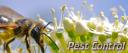 Organic Pest Control Perth logo